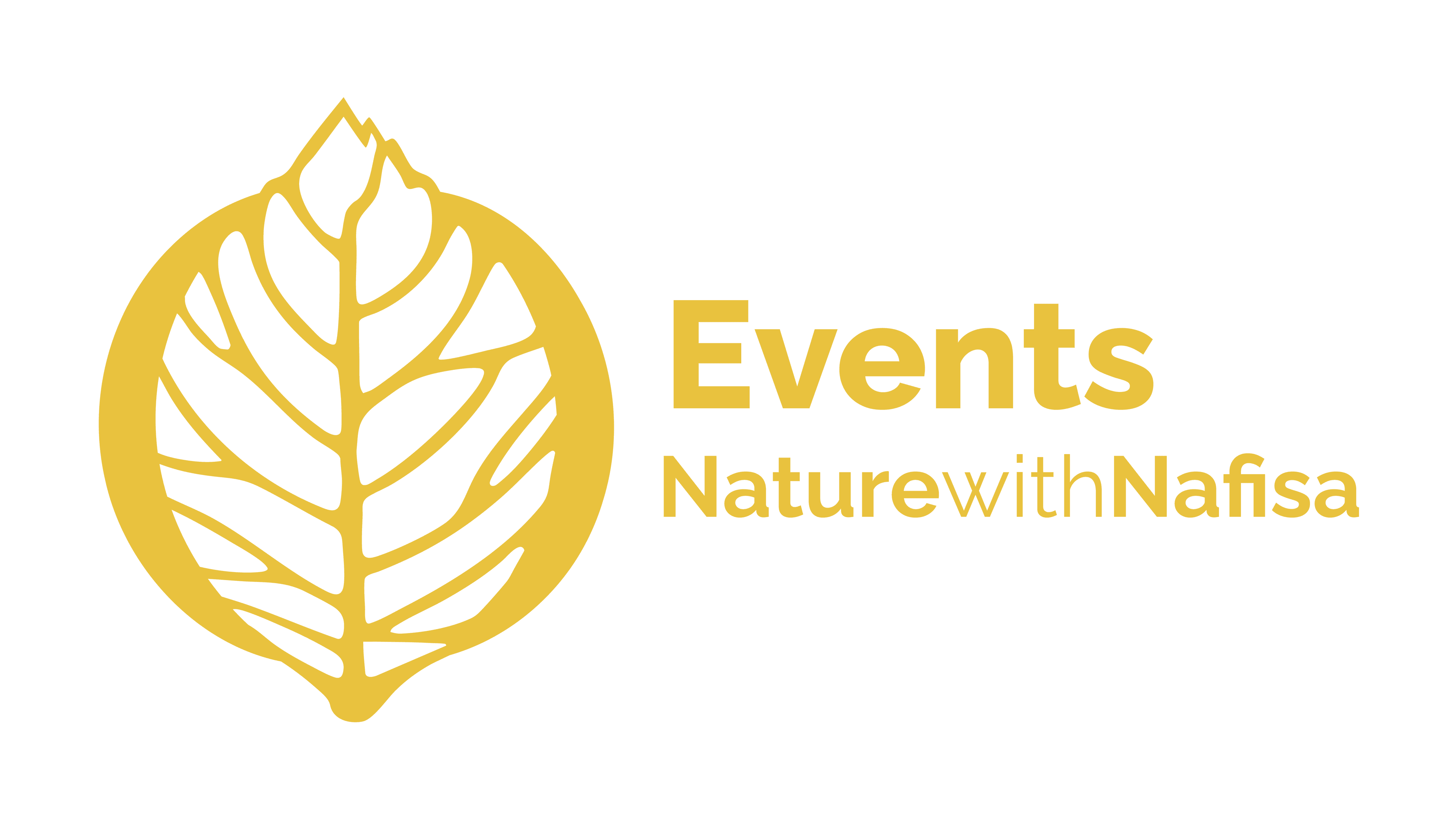 We design and deliver workshops, nature-based days and retreats tailored to support your team's wellbeing and connection.